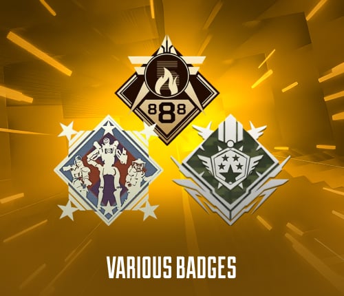 VARIOUS BADGES